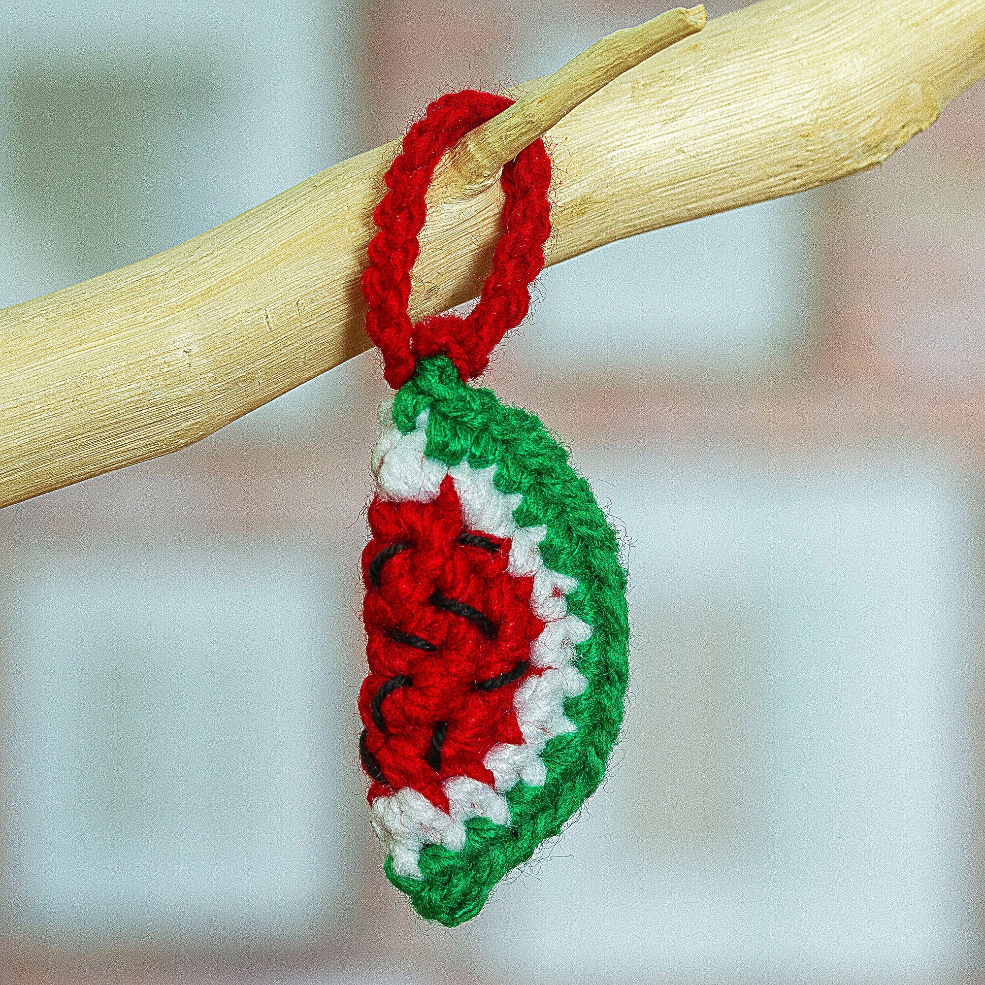 Watermelon Crocheted Charm for Handbags Handmade in Mexico - Cute Watermelon
